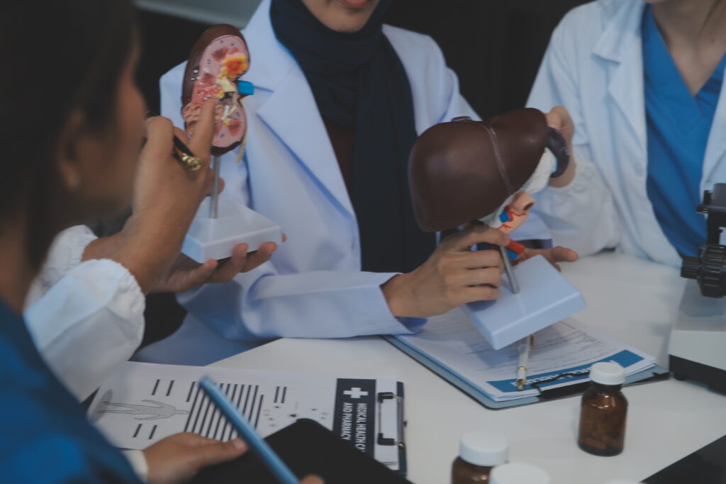 Xamedical Meeting Laptop Team Office Discussion Brainstorming Planning Doctor Nurse Computer Desk Teamwork Workshop Model Internal Organ